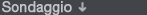 Sondaggio
