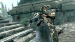 The Elder Scrolls V: Skyrim