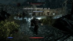 The Elder Scrolls V: Skyrim
