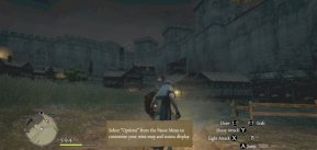 Dragon's Dogma