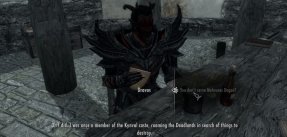 The Elder Scrolls V: Skyrim