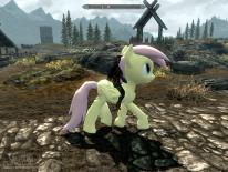 The Elder Scrolls V: Skyrim