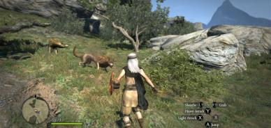 Dragon's Dogma