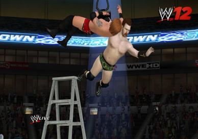 WWE 12