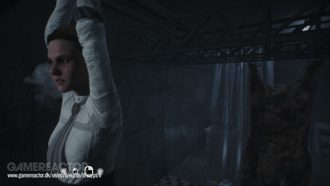 Remothered: Broken Porcelain