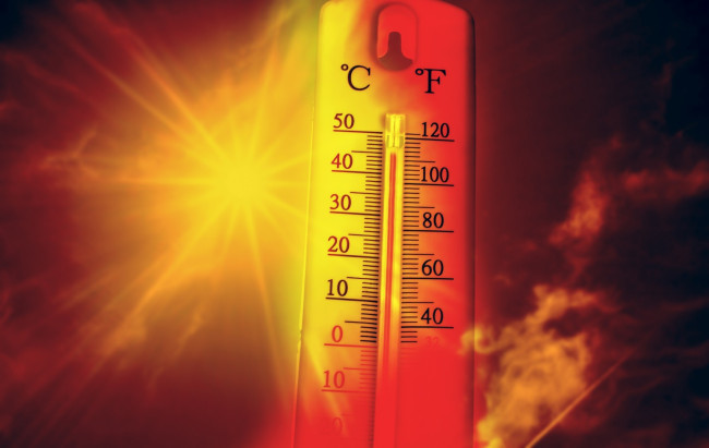 43ºC in Portogallo e Spagna mentre l'OMS avverte l'Europa in vista di "settimane più mortali"