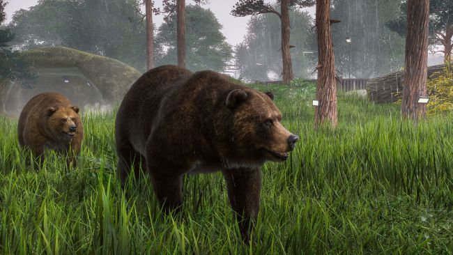 L'orso dà un colpo ai commensali in Messico dopo aver cenato