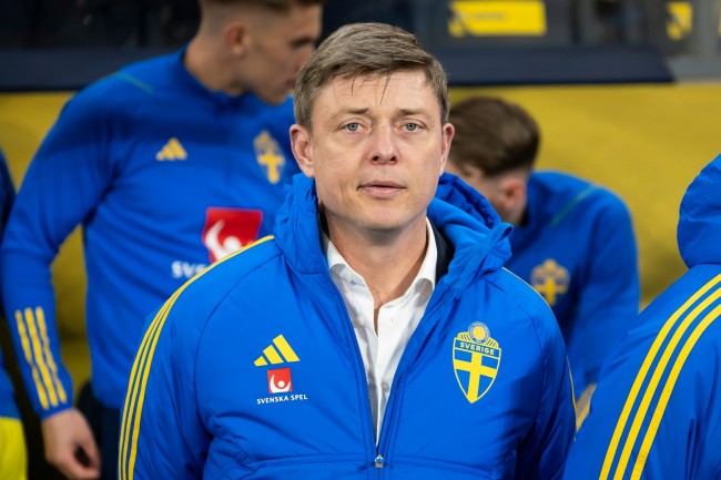 L'allenatore della Svezia Jon Dahl Tomasson è stato esonerato dopo la debacle delle qualificazioni ai Mondiali
