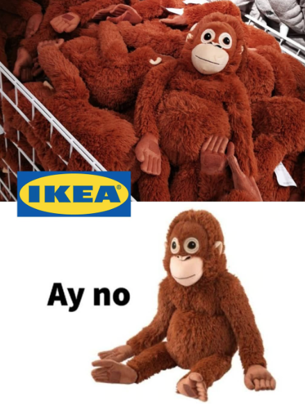 Chi è Punch the Monkey? Il giovane macaco che è diventato quasi più famoso di Donald Trump