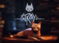 Stray &egrave; ora disponibile su Xbox