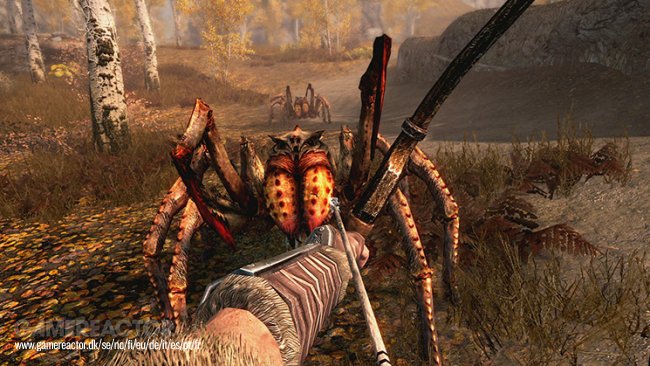 The Elder Scrolls V: Skyrim