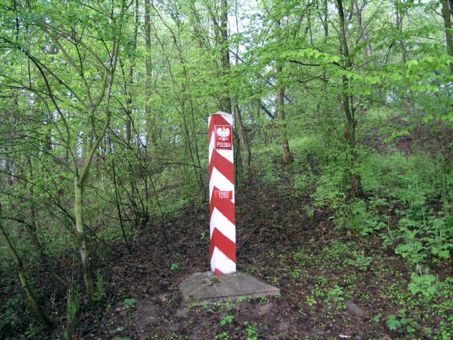 L'UE sospetta che la violazione della Polonia da parte dei droni russi sia stata intenzionale