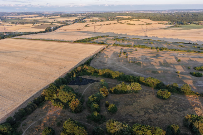 National Farmers Union head avverte che una siccità prolungata nel Regno Unito porterà a una carenza di alcuni alimenti