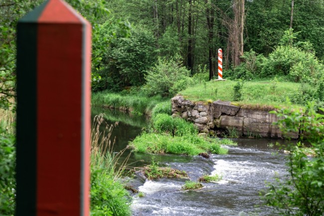 Zelensky sospetta che la violazione della Polonia da parte dei droni russi sia stata intenzionale