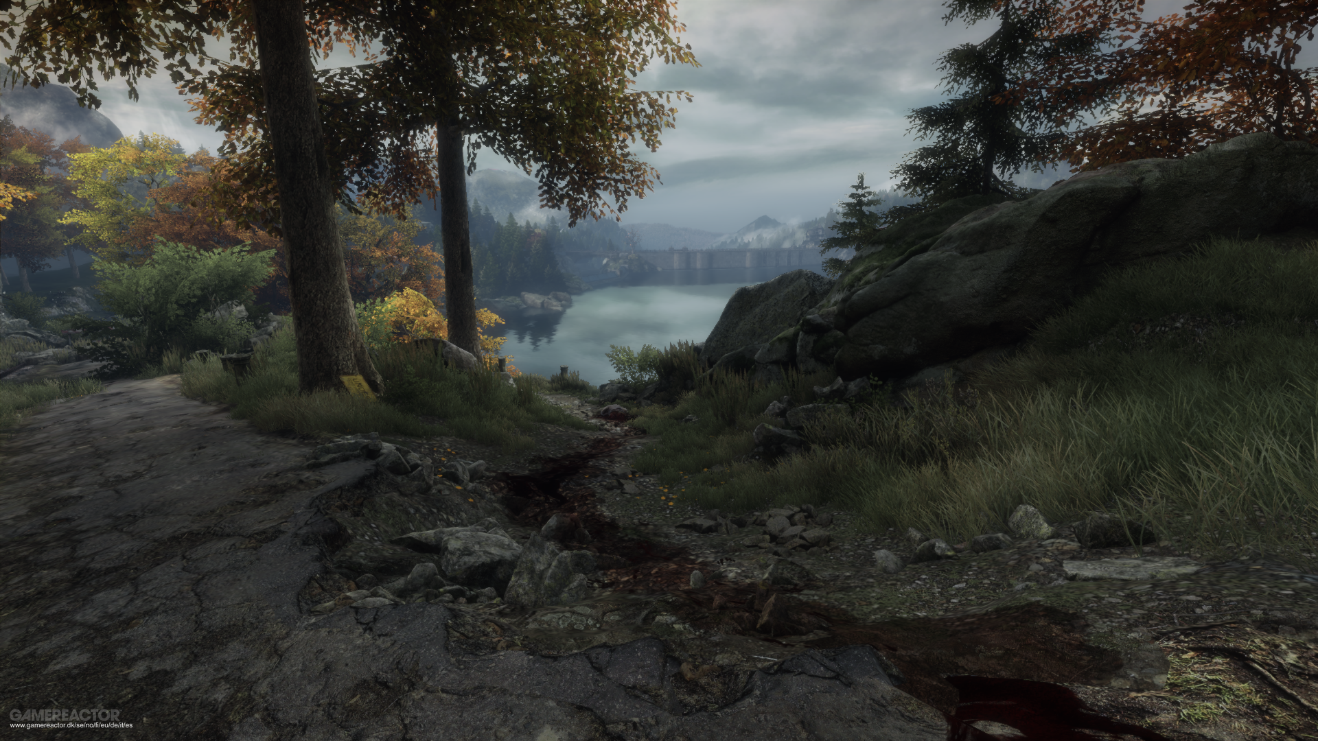 исчезновение итана патца. The vanishing of ethan carter прохождение. The vanishing of ethan carter обои. The vanishing of ethan carter скример. The vanishing of ethan carter обои.