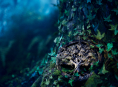 Dai creatori di Coraline arriva Wildwood, con uscita cinematografica prevista per ottobre