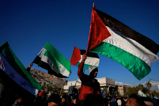 La bandiera palestinese sventolerà all'OMS dopo il voto simbolico