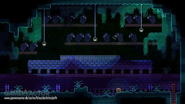 Animal Well