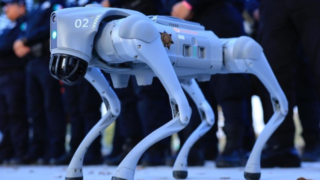 I cani robot difenderanno la Coppa del Mondo 2026