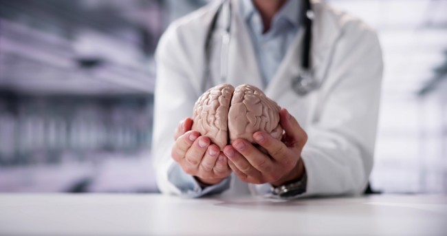 Gli scienziati creano il primo atlante dettagliato di come il cervello umano si sviluppa dall'embrione all'età adulta