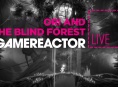 GR Live: La nostra diretta su Ori&The Blind Forest