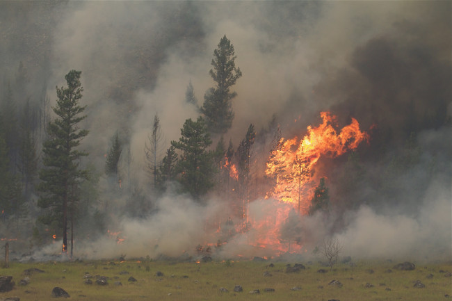 Lo stato di emergenza dichiarato a Washington mentre incendi boschivi attraversano la regione degli Stati Uniti