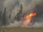Lo stato di emergenza dichiarato a Washington mentre incendi boschivi attraversano la regione degli Stati Uniti
