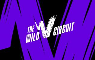Riot Games annuncia The Wild Rift Circuit