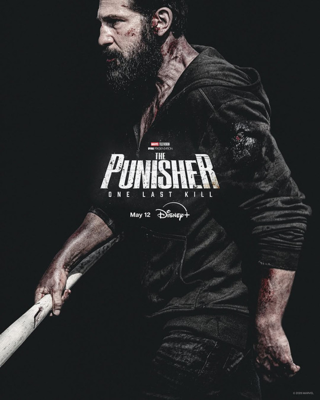 The Punisher: One Last Kill