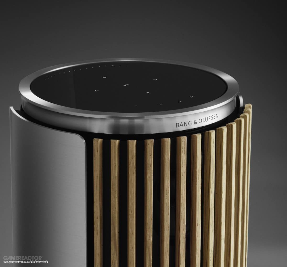 B&O BeoGram RIAA Pre-Amp Cables for Bang & Olufsen BeoSound Premium B&O BeoGram RIAA Pre-Amp Cables for Bang & Olufsen BeoSound Premium