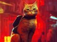 Stray sta ricevendo un film d'animazione