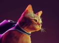 Stray scala la vetta delle classifiche di vendita su Xbox
