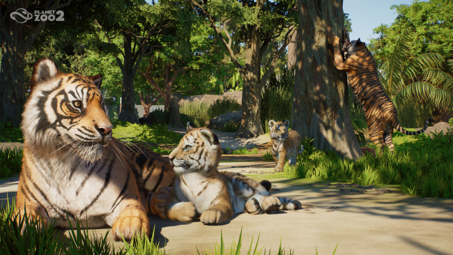 Planet Zoo 2 Anteprima: Un ambizioso sequel che eleva la formula di Planet