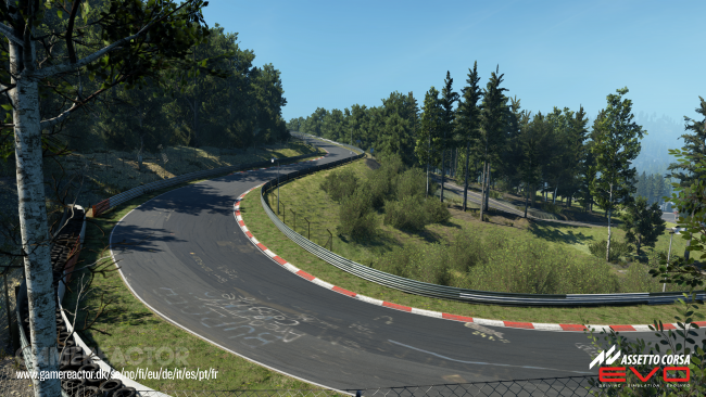 Assetto Corsa Evo