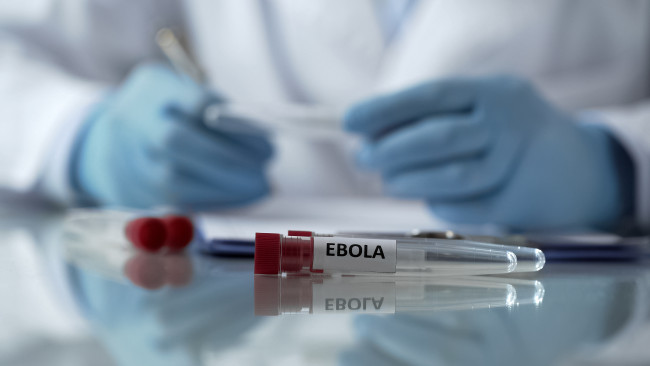 L'Organizzazione Mondiale della Sanità pensa che un vaccino per l'ultimo ceppo di Ebola potrebbe richiedere nove mesi per essere preparato