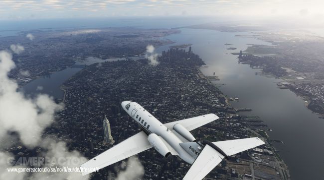 Microsoft Flight Simulator