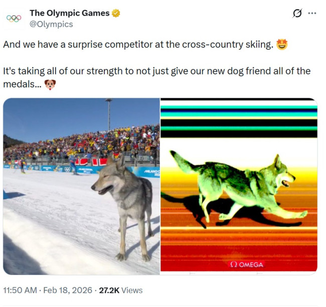 L'account ufficiale di Olympics X cancella silenziosamente un post divertente sull'incidente virale ma piuttosto pericoloso con il cane