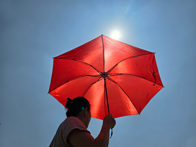 Le crisi climatiche rappresentano una minaccia crescente per la democrazia, secondo un nuovo rapporto