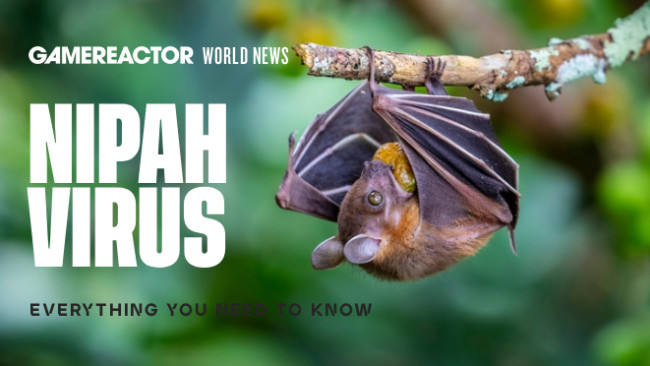 Tutto quello che devi sapere sul virus Nipah dopo che l'India conferma due casi