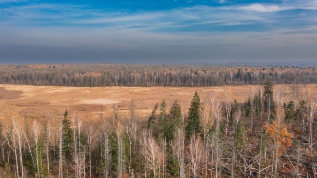 Russia e Bielorussia iniziano le esercitazioni militari vicino alla Polonia
