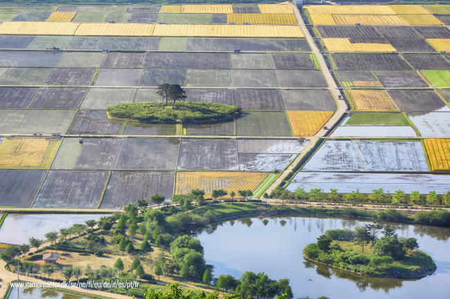 La Corea del Sud sta impiegando droni nelle aree rurali per monitorare la salute degli agricoltori e degli anziani che vivono nelle campagne