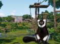 Planet Zoo aggiunge un cake shop e una nuova specie di lemuri
