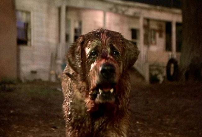 Netflix ha in programma un remake di Cujo di Stephen King