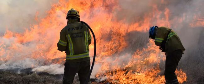I vigili del fuoco greci combattono un grande incendio boschivo a nord-ovest di Atene
