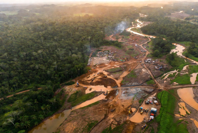 I minatori illegali stanno devastando l'Amazzonia a un ritmo record mentre il prezzo dell'oro sale alle stelle
