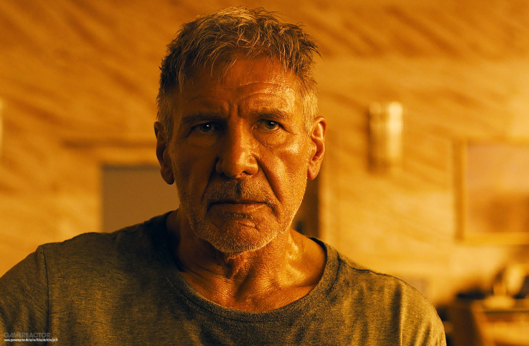 il regista di blade runner