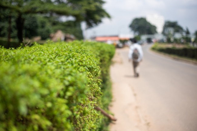 50 studenti su 300 rapiti in Nigeria riescono a fuggire (circa 250 ancora prigionieri)