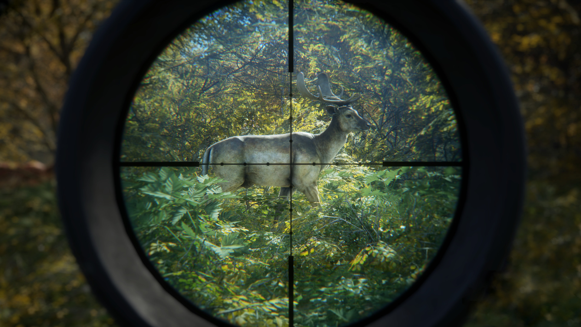 The Hunter Call of the Wild in arrivo su PS4 e Xbox One theHunter