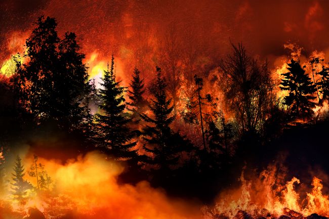 Gli incendi boschivi costringono centinaia di turisti a evacuare in Grecia e Croazia