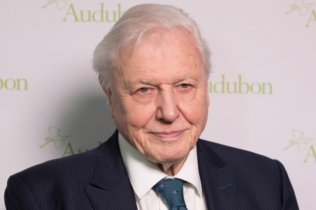 Sir David Attenborough riceve messaggi di compleanno "travolgenti" mentre compie 100 anni